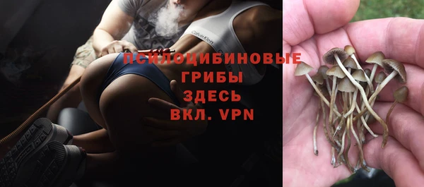MDMA Premium VHQ Арсеньев