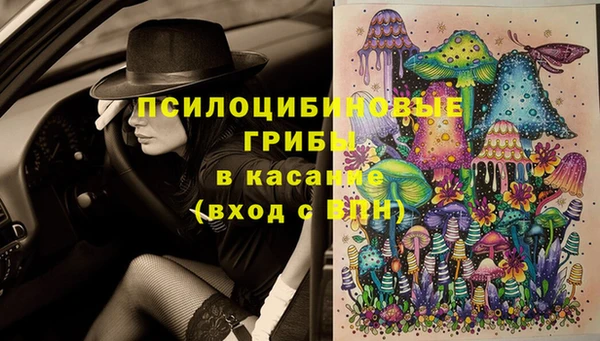 MDMA Premium VHQ Аркадак