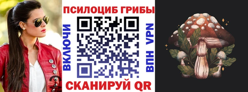 купить наркотики сайты  Радужный  Псилоцибиновые грибы Magic Shrooms 